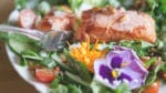 Wildkräutersalat mit Wildlachs