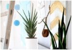{DIY: } Paletten-Regal in sommerlichen Farben