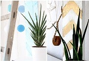 {DIY: } Paletten-Regal in sommerlichen Farben