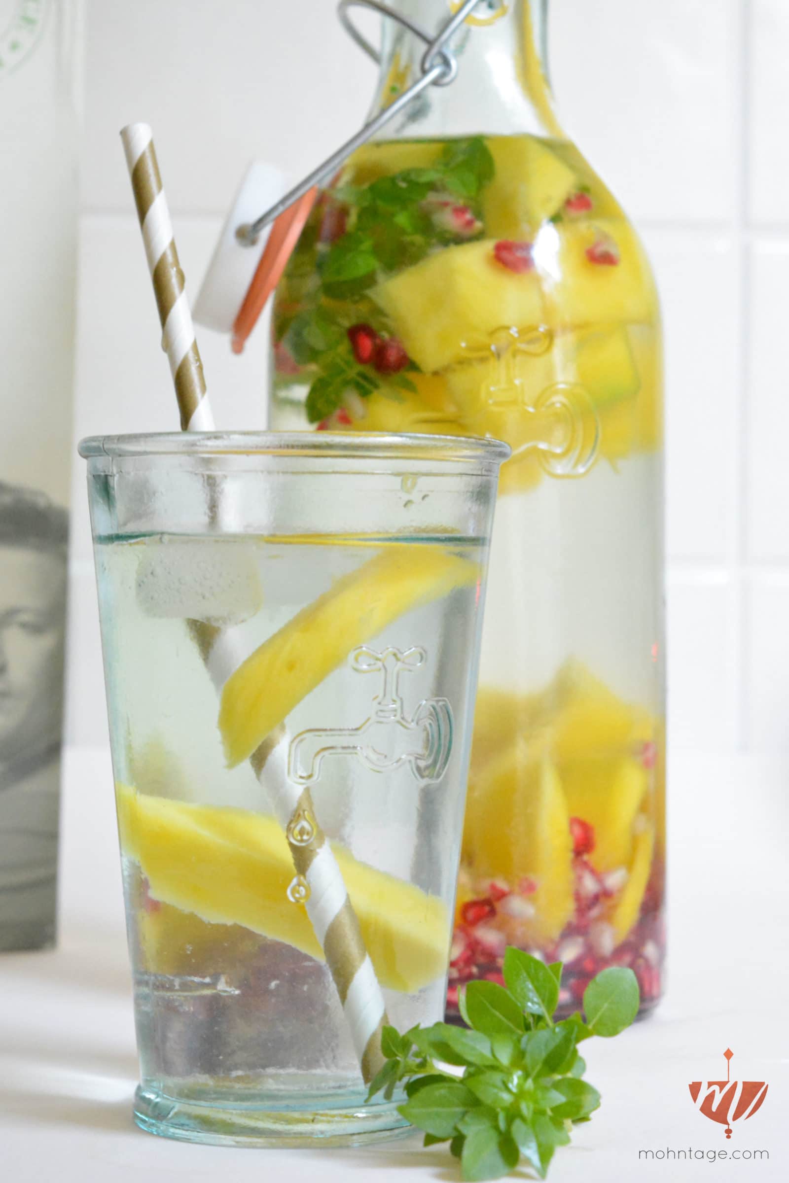 Infused Water | 3-fach Frischekick gegen die Hitze | Mohntage