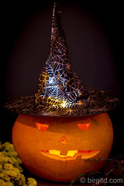 Happy Halloween ?