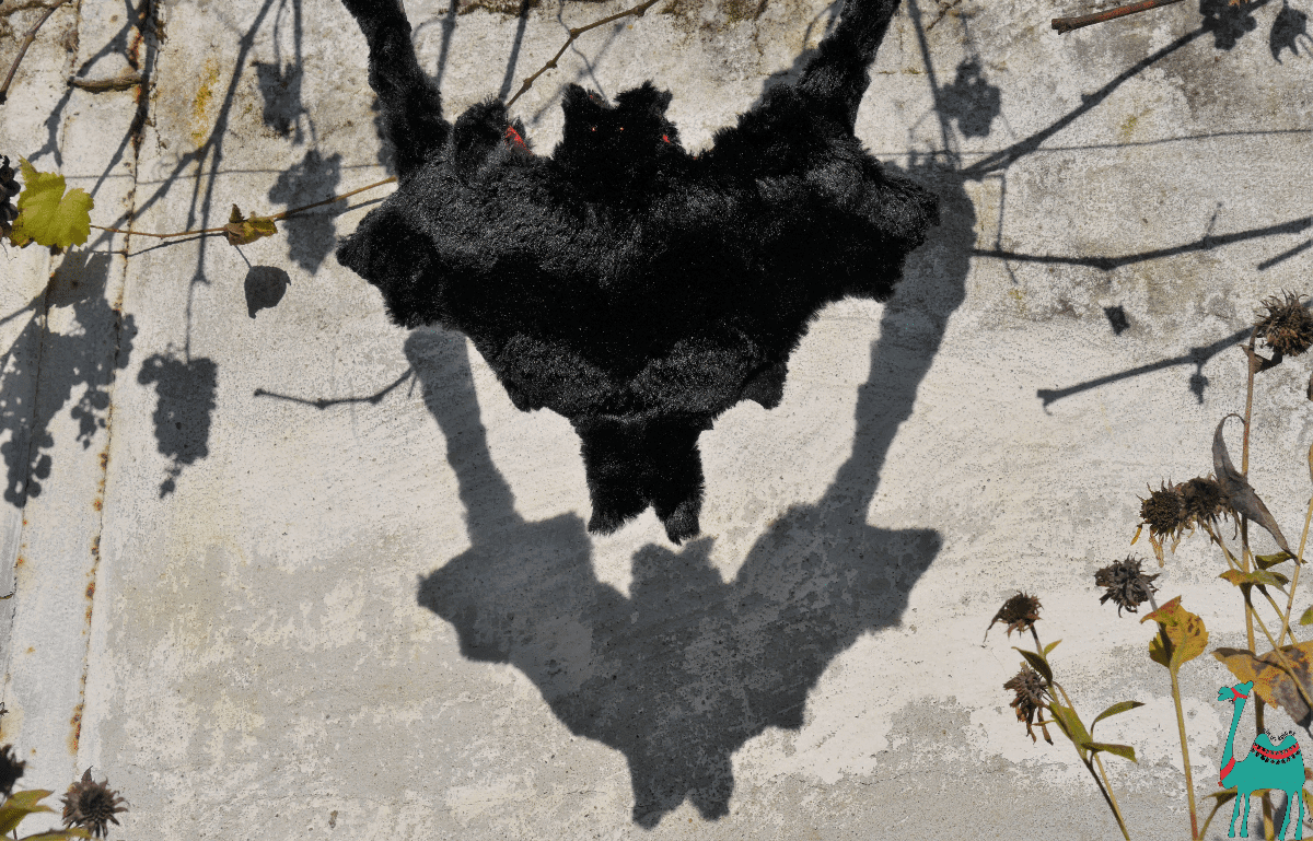 Fledermaustasche, eine Anleitung für Halloween!