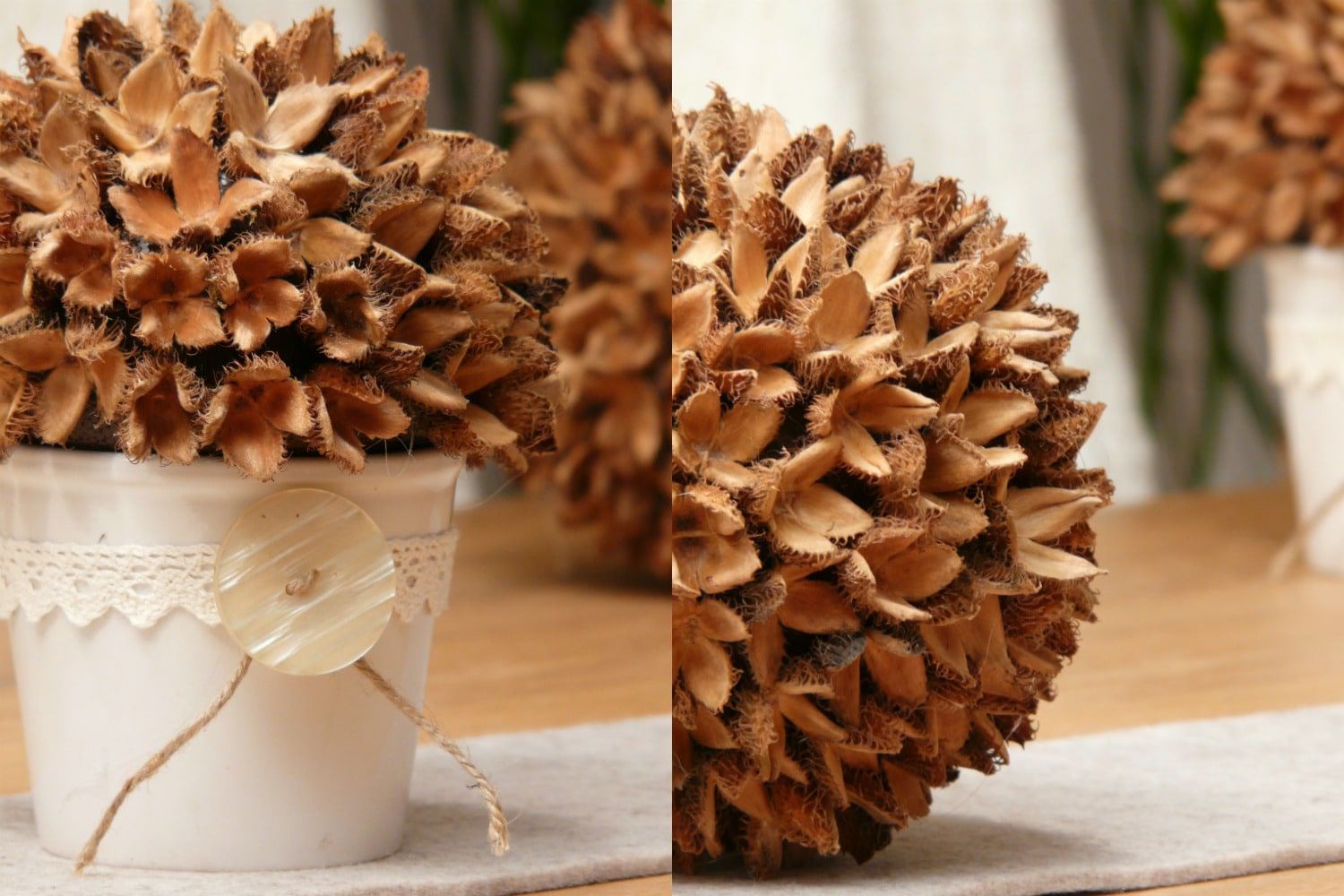 Dekokugel aus Bucheckern basteln