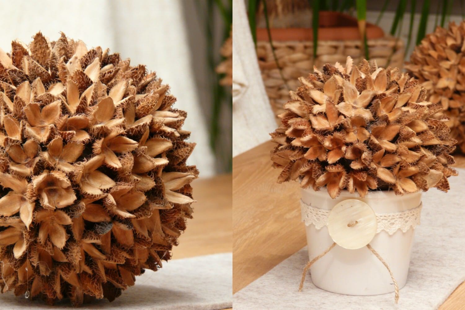 Dekokugel aus Bucheckern basteln
