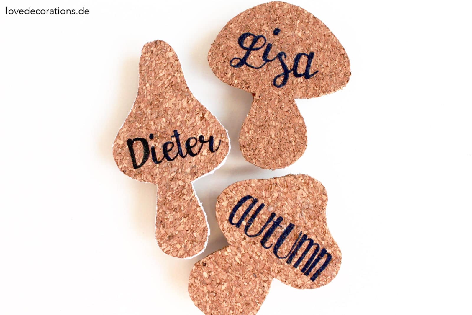 DIY Pilz Namensschilder