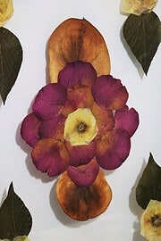 Getrocknetes Blumenbild