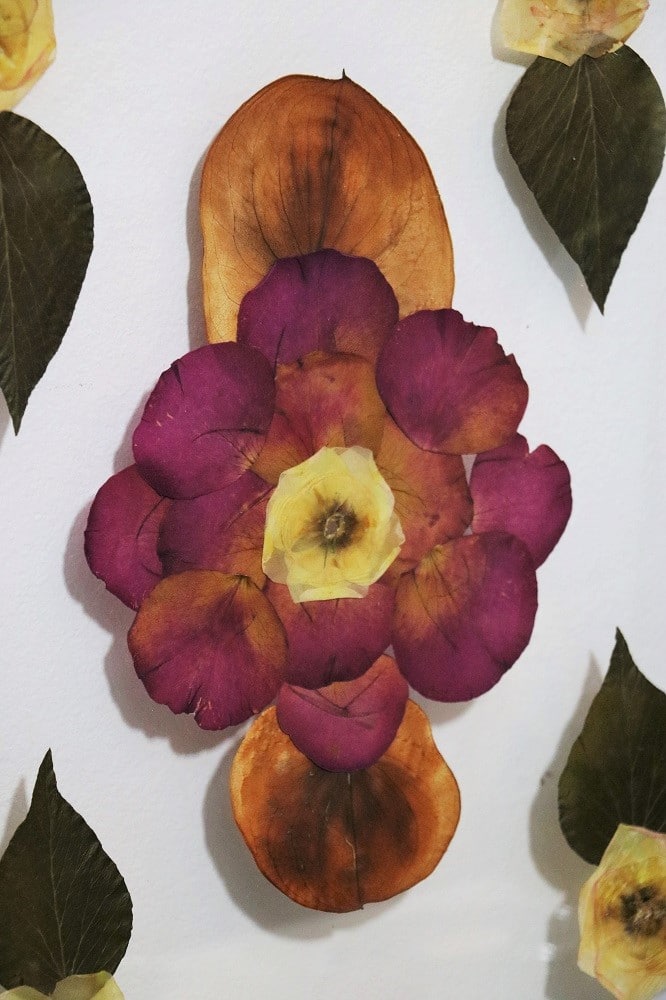 Getrocknetes Blumenbild