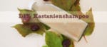DIY: No-Poo Shampoo aus Rosskastanien