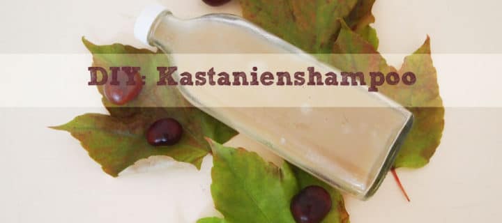 DIY: No-Poo Shampoo aus Rosskastanien