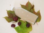 DIY: No-Poo Shampoo aus Rosskastanien