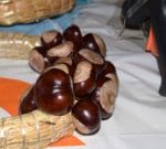 Kastanienkranz