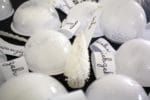 Winterwunder-Schneekugel-Adventskalender