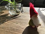 WeihnachtsZwerg