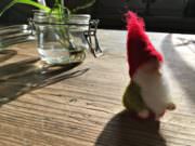 WeihnachtsZwerg