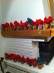 Adventskalender mit T(K)öpfchen