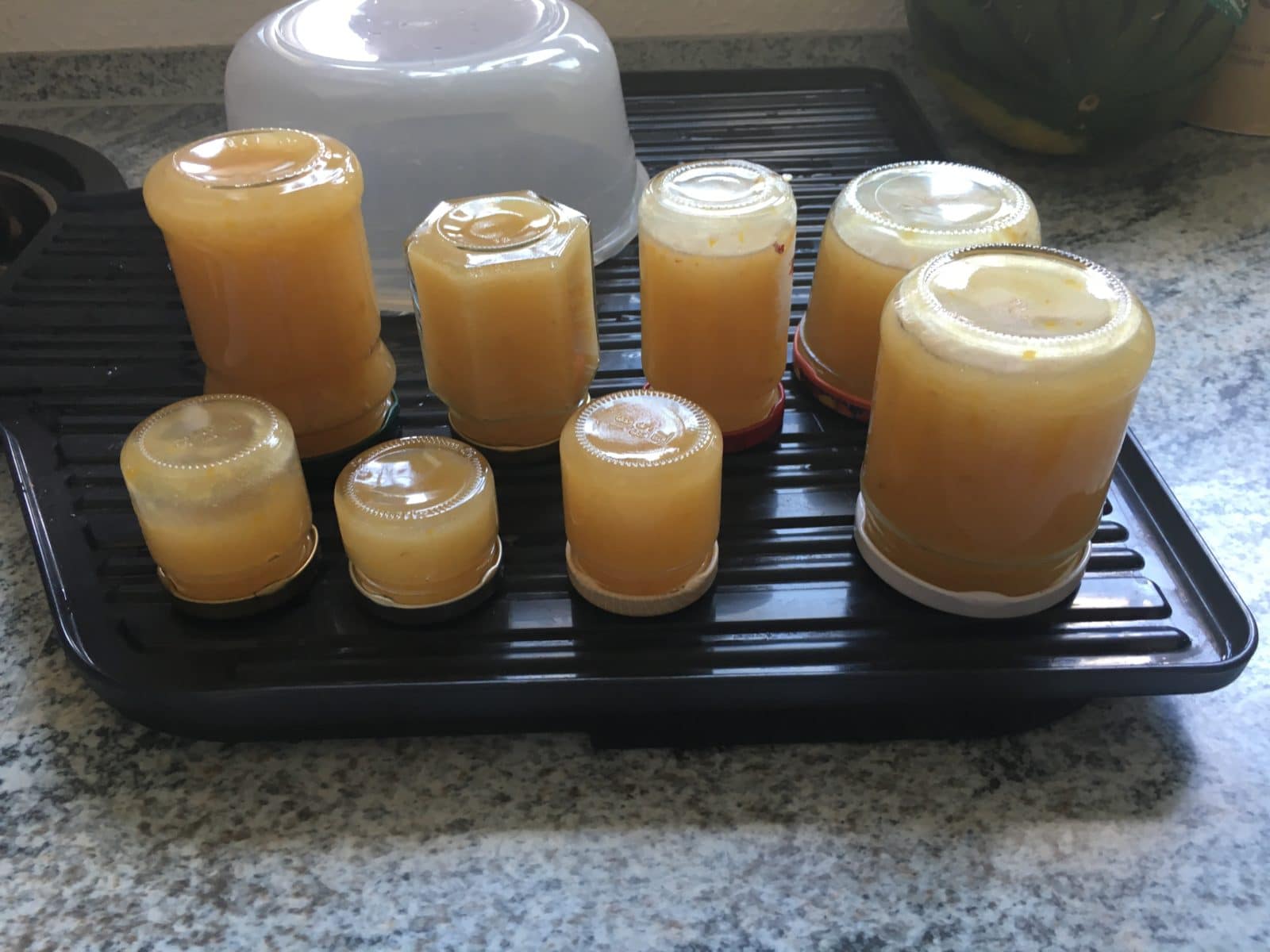 Cido – die Vitaminbombe aus Lettland