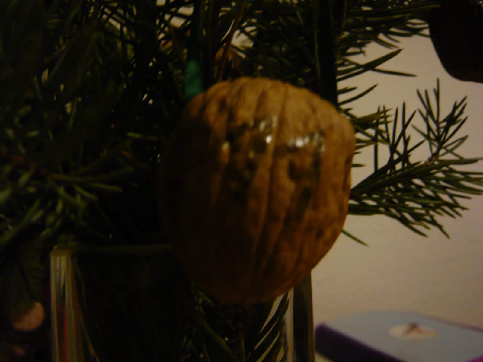 Zaubernüsse Adventskalender