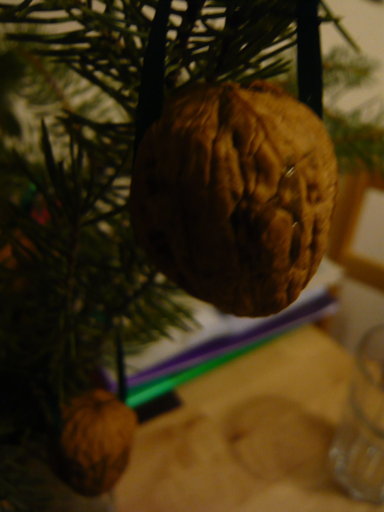 Zaubernüsse Adventskalender