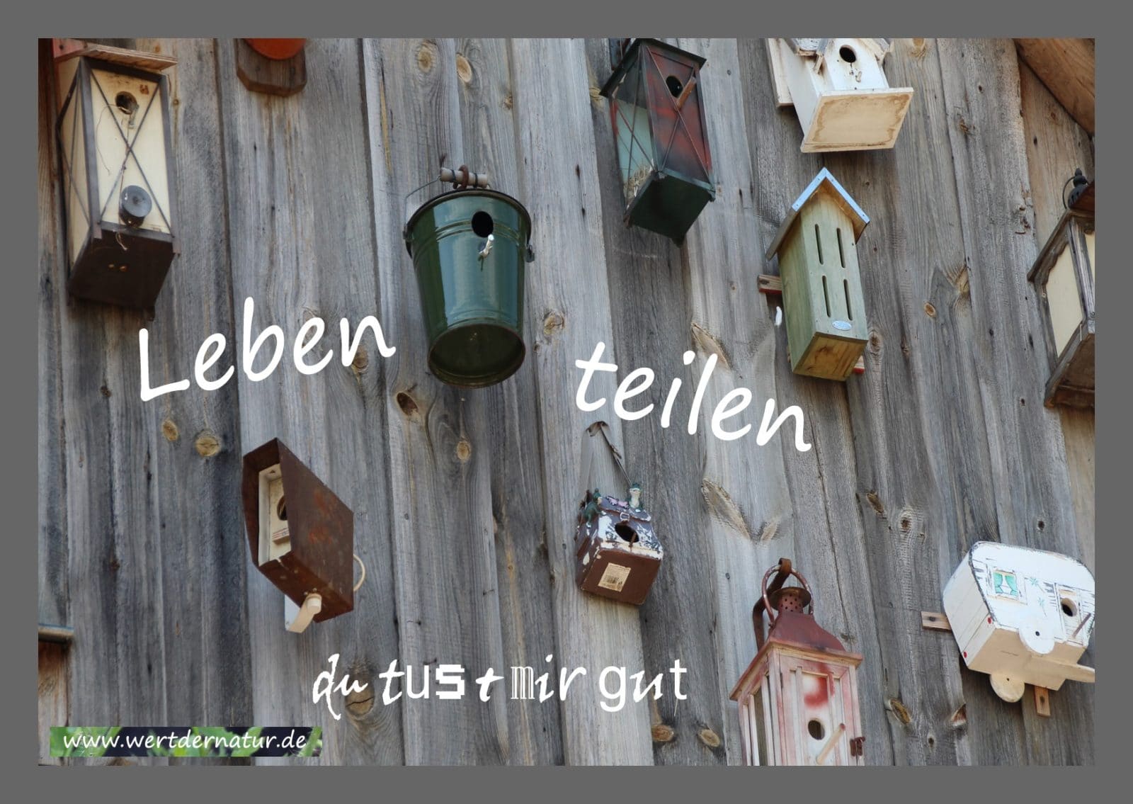 Postkartenset – Leben teilen – Geschenkidee