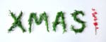 Mini DIY Buchstaben mit Weihnachtsgrün