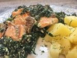 Lachs mit Spinat-Ricotta