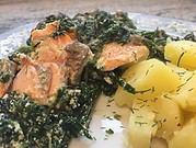 Lachs mit Spinat-Ricotta