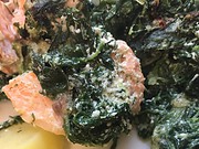 Lachs mit Spinat-Ricotta