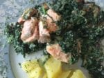 Lachs mit Spinat-Ricotta