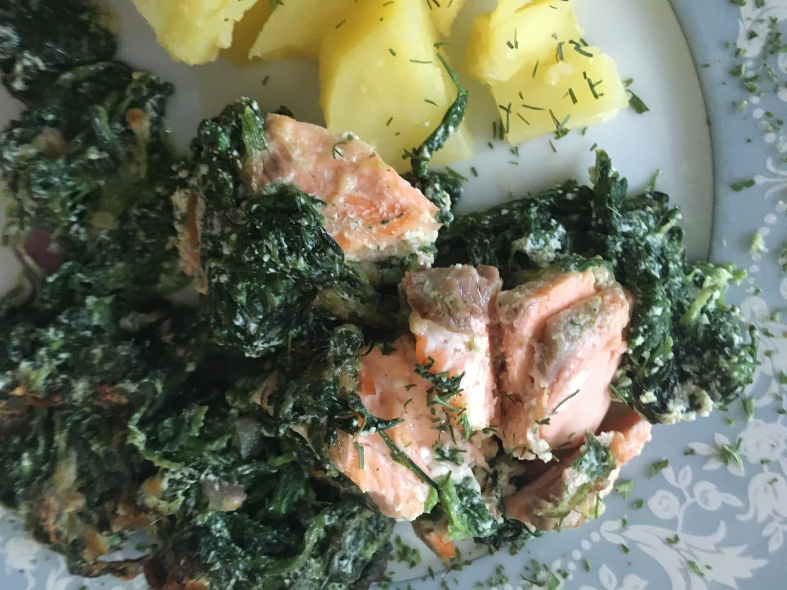 Lachs mit Spinat-Ricotta