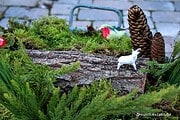 Miniaturlandschaft in einer Zinkwanne