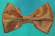 Schnelle Schleife