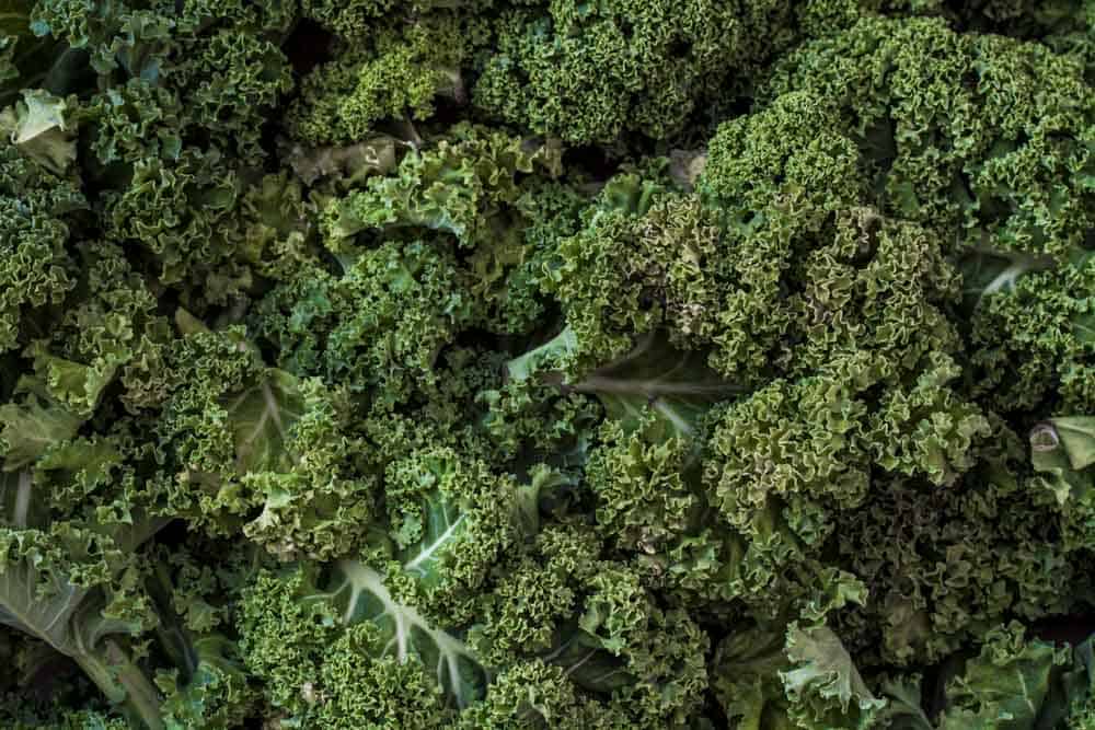 Salat im Winter: Grünkohlsalat mit Hirse, Möhren und Granatapfelkernen
