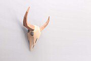 Bisonschädel aus Papier