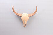 Bisonschädel aus Papier