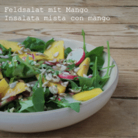 Feldsalat mit Mango und Radieschen