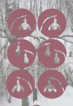 Schneeglöckchen [Plotter Freebie & Free Printable]