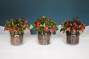 Easy Tischdeko: Blumen im Weckglas