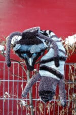 Fuchs und Wolf als Schal stricken