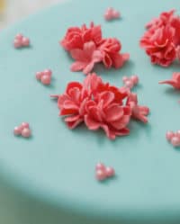 Tortenkurs: “Fondant-Torten leicht gemacht” am 22.04.2017