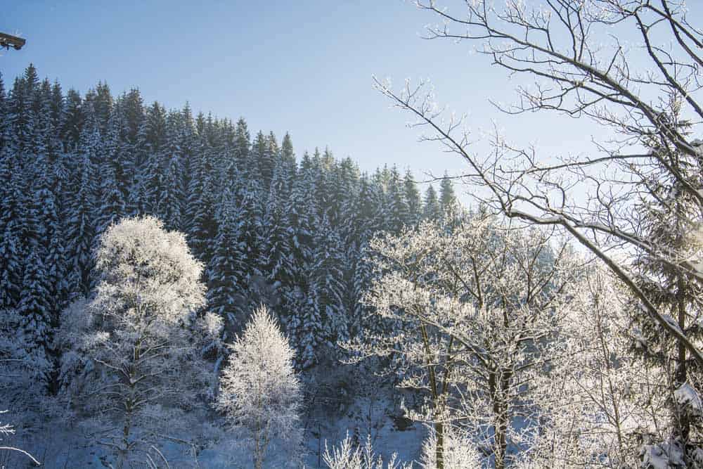January Mornings – Gesundes Soulfood im Winter: Blaubeer-Bananen Pancakes