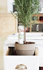 Kräutersalz upcycling