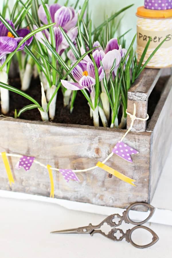 Frühling verschenken
