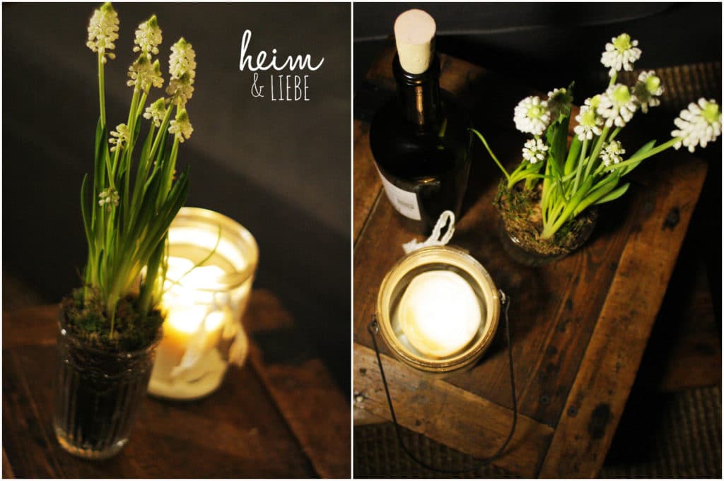 Indoorgarten mit Frühblühern und Sukkulenten gestalten als Überbrückung bis zum Frühling