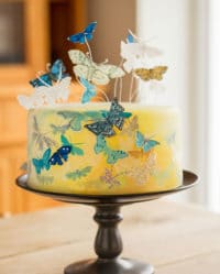 Spezial-Workshop: “Essbare Schmetterlinge & Fondant-Malerei” am 22.07.2017