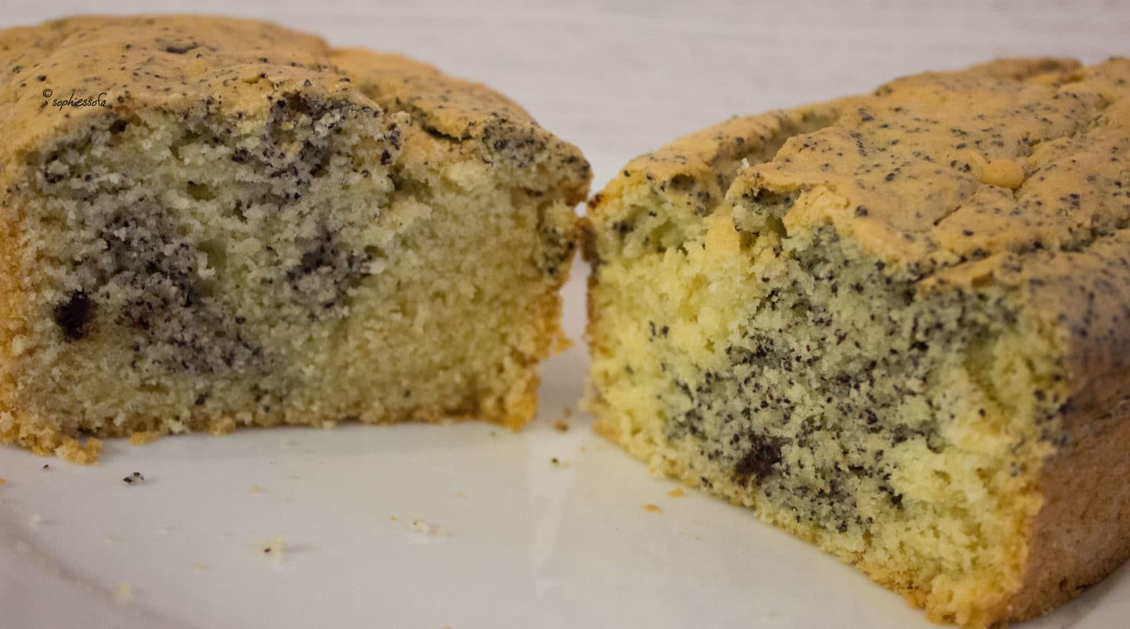 Mega-Fluffiger Mohn-Swirl-Kuchen *vegan*