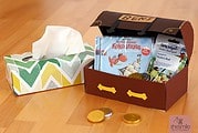 Schatzkiste aus Tücherbox (Kostenlose Bastelanleitung)