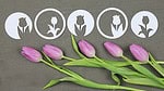 ??? Tulpenzeit ???  [mit Vorlage]