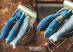 Chinesische Glücksfische … das 30 Minuten DIY