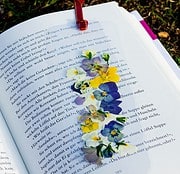 Lesezeichen mit getrockneten Blüten