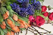 Frühlingsstrauß mit Ranunkeln, Tulpen und Hyazinthen
